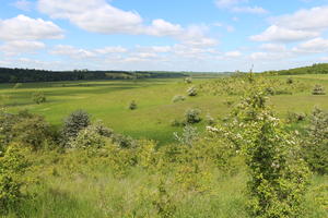 LSG Radewitzer Heide