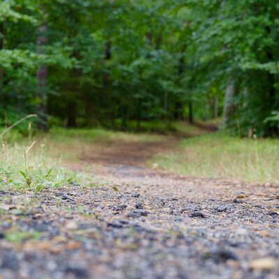 Feierlicher erster Spatenstich zur Sanierung des Radweges zwischen Torgelow und Liepgarten_Foto 2
