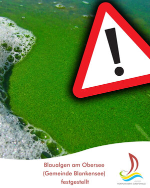 Blaualgen am Obersee (Gemeinde Blankensee) festgestellt