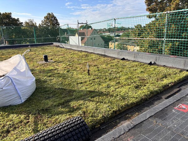 Verwaltungsgeb&auml;ude in Anklam wird saniert und erh&auml;lt Gr&uuml;ndach_ Foto 1