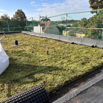 Verwaltungsgeb&auml;ude in Anklam wird saniert und erh&auml;lt Gr&uuml;ndach_ Foto 1