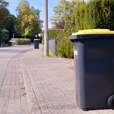 Gelbe Tonne Bereits 10.000 Beh&auml;lter im Landkreis ausgeliefert_ 2