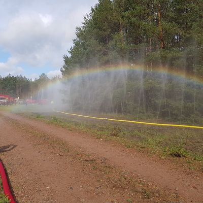 Kat-Schutz-&Uuml;bung Waldbrand J&auml;gerbr&uuml;ck 2019