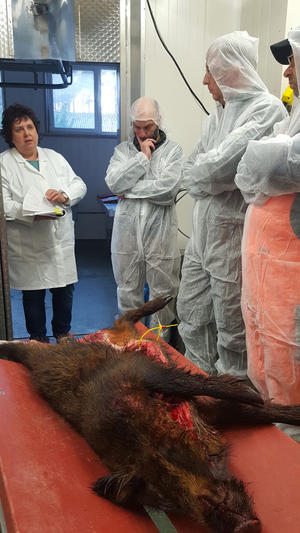 Amtstier&auml;rztin Petra Kabelitz gibt den Teilnehmern wichtige Hinweise, damit es in Sachen Wildbret-Hygiene auch in der jagdlichen Praxis klappt.