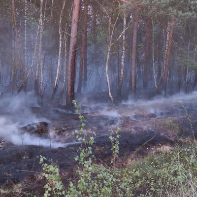 Feuerwehreinsatz Usedom2