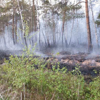Feuerwehreinsatz Usedom3