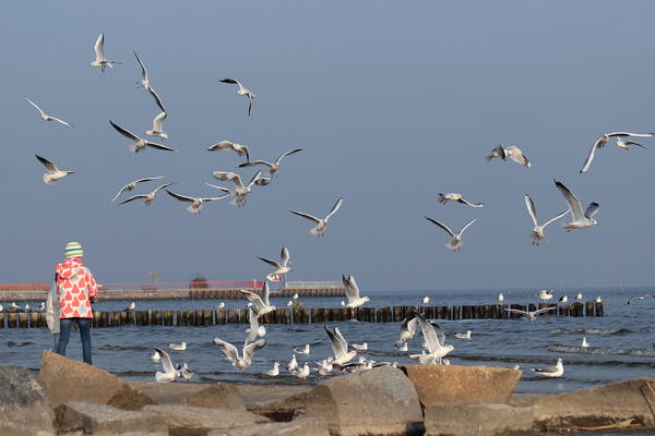 Ueckerm&uuml;nde Strand