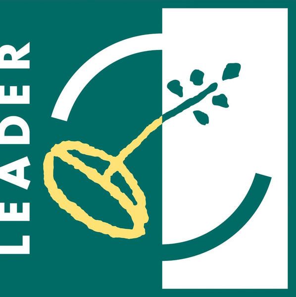 Logo Leader 2
