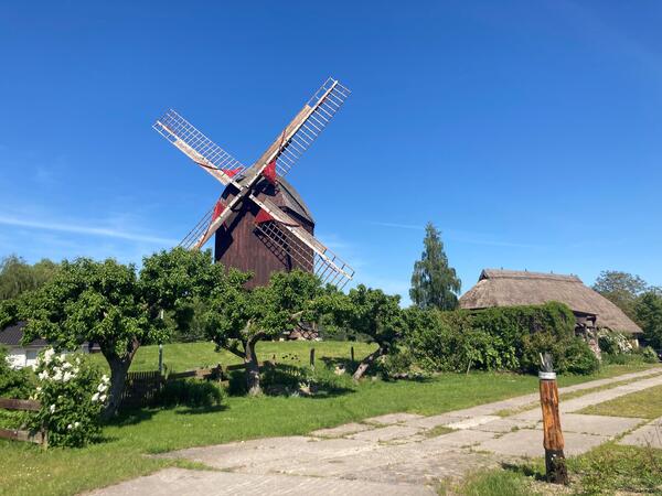 Windm&uuml;hle Eldena