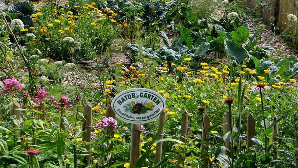 Natur im Garten