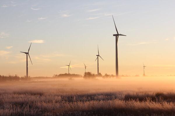 Windm&uuml;hle w&auml;hrend Morgend&auml;mmerung