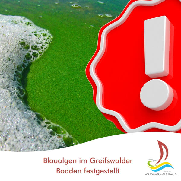 Blaualgen im Greifswalder Bodden festgestellt