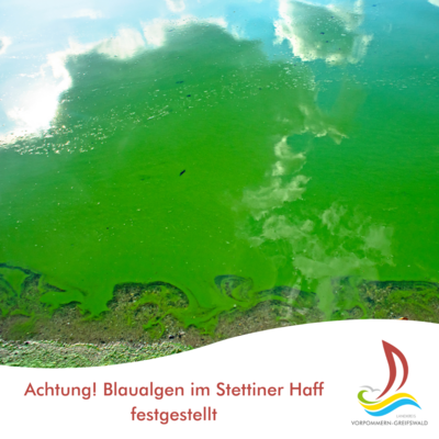Blaualgen im Stettiner Haff festgestellt