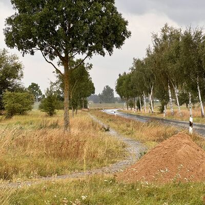 Zustand des jetzt vorhandenen Radweges an der Kreisstra&szlig;e VG 85 Wollin-Penkun
