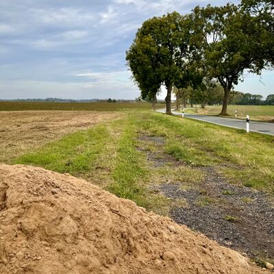 Erster Spatenstich f&uuml;r den Um- und Ausbau des Radweges an der Kreisstra&szlig;e VG 13 Klein Kiesow - Gro&szlig; Kiesow_Foto 2