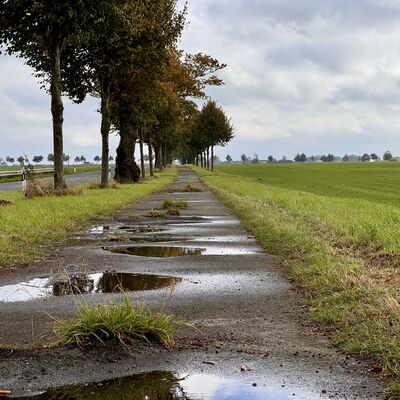 Erster Spatenstich f&uuml;r den Um- und Ausbau des Radweges an der Kreisstra&szlig;e VG 106 Daberkow-L 35_Foto 2