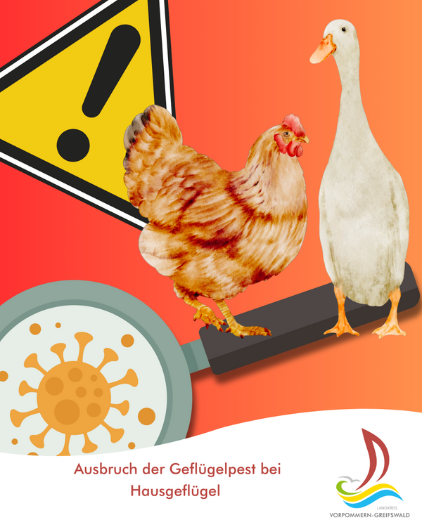 Ausbruch der Gefl&uuml;gelpest bei Hausgefl&uuml;gel